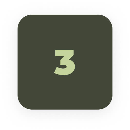 Group 2142 (1)